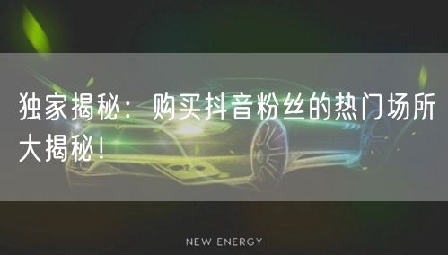 独家揭秘：购买抖音粉丝的热门场所大揭秘！