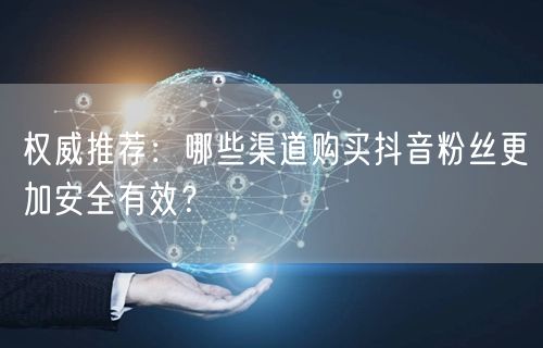 权威推荐：哪些渠道购买抖音粉丝更加安全有效？